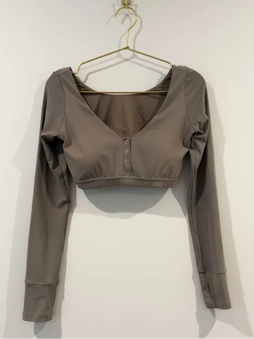 Long Sleeve Scoop Crop Top in Taupe